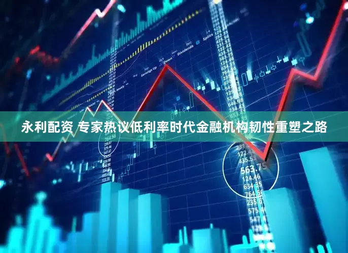 永利配资 专家热议低利率时代金融机构韧性重塑之路