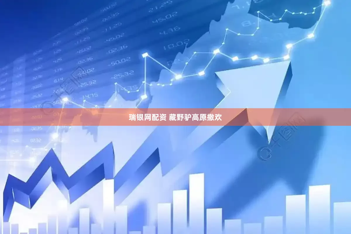 瑞银网配资 藏野驴高原撒欢