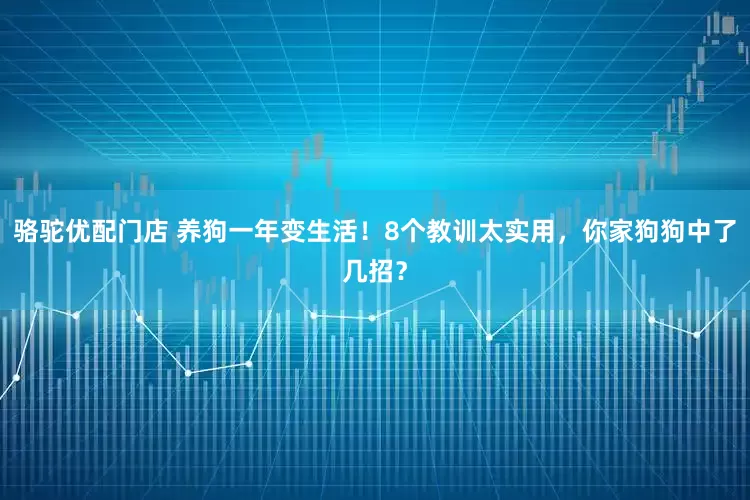 骆驼优配门店 养狗一年变生活！8个教训太实用，你家狗狗中了几招？