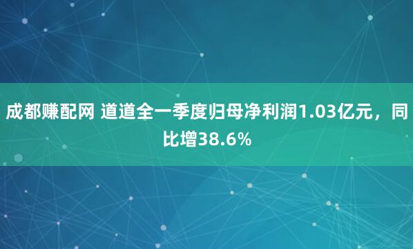 成都赚配网 道道全一季度归母净利润1.03亿元，同比增38.6%