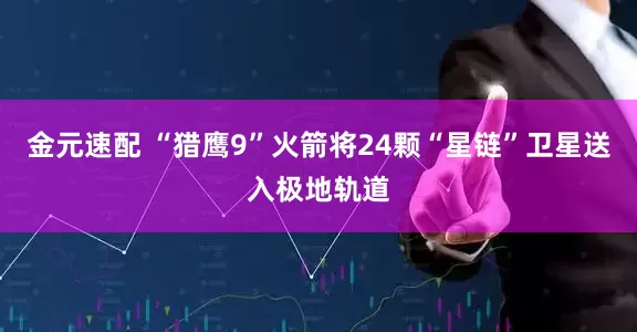 金元速配 “猎鹰9”火箭将24颗“星链”卫星送入极地轨道